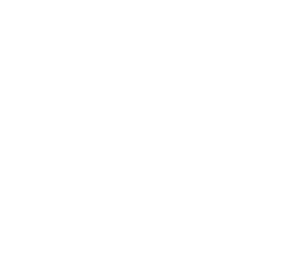 logo white smaller